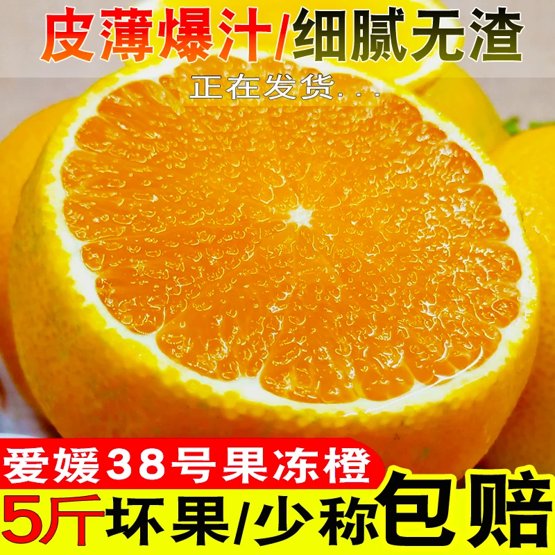 四川爱媛38号果冻橙手剥甜橙子橘橙精选产地现摘皮薄爆汁4.8斤