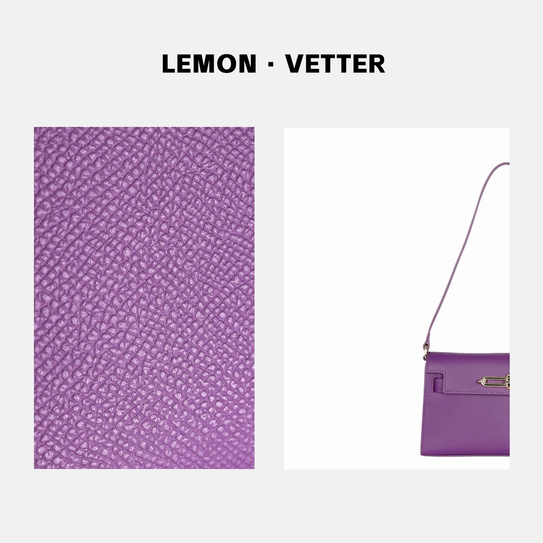 【大周专属】雷蒙威特2024经典复古单肩斜跨女包小方包ZB121