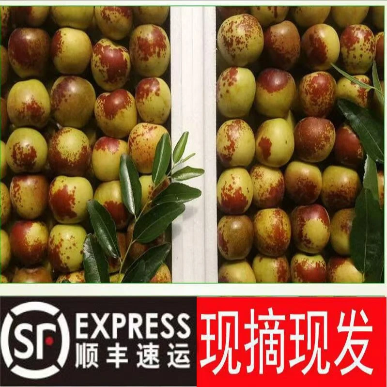 【顺丰包邮】陕西大荔冬枣现摘新鲜脆甜冬枣水果净重3斤装