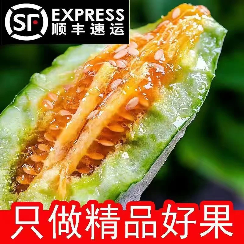 【顺丰包邮】现摘头茬羊角蜜春季甜瓜孕妇儿童新鲜应季水果5斤