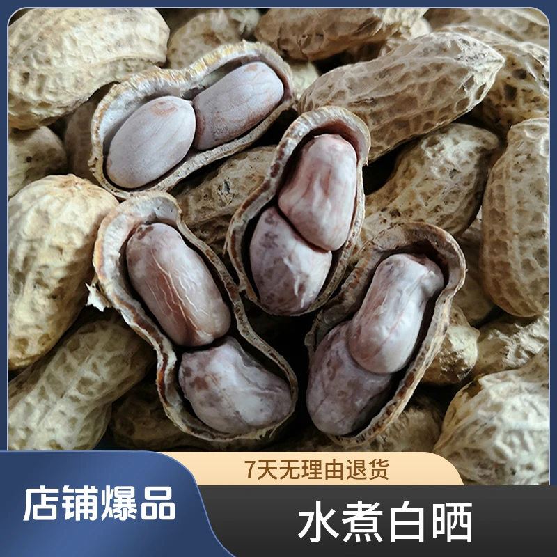 2023年新货正宗龙岩水煮白晒咸干蒜香五香花生坚果零食小吃下酒菜