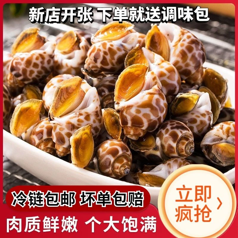 新鲜速冻花螺 中号一斤约40/60只  顺丰