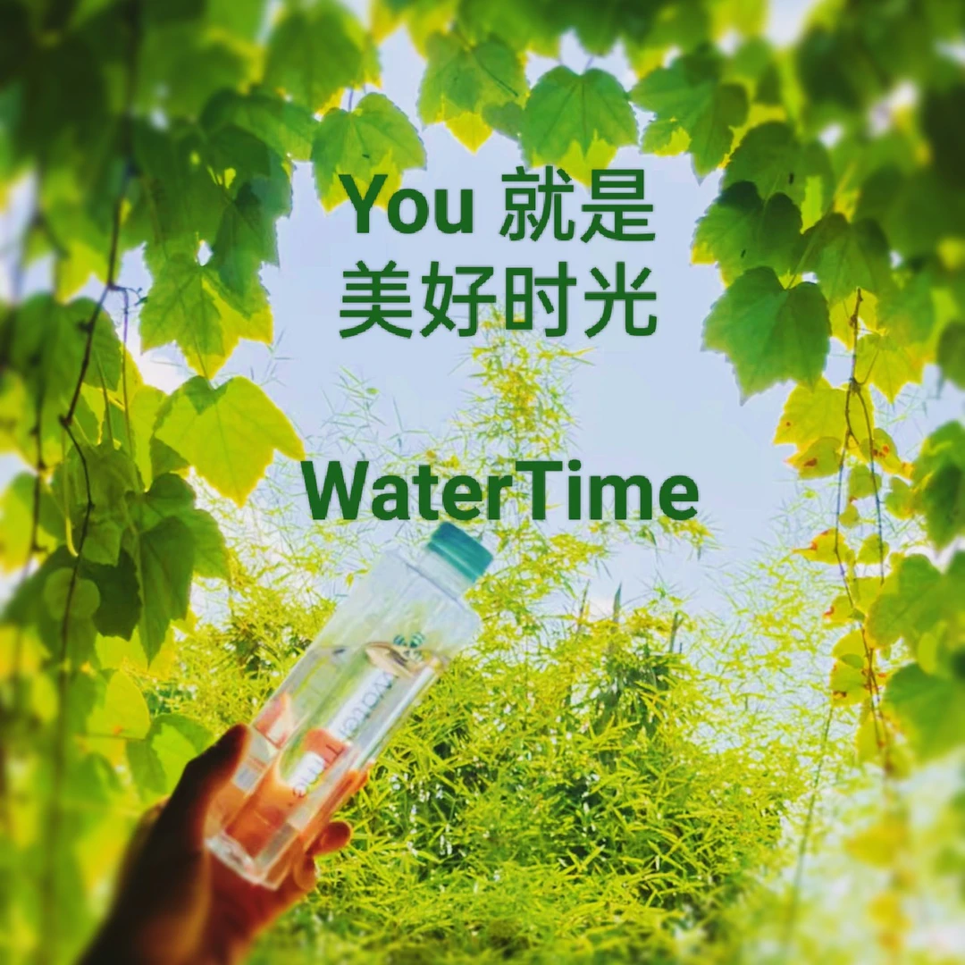 【原产地】水时光 380mL*12瓶×4箱 天然鲜冽含硒深泉脉古地下泉水
