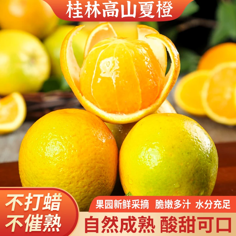 广西桂林高山夏橙4斤8斤现摘现发新鲜皮薄酸甜细腻鲜甜脆嫩快递