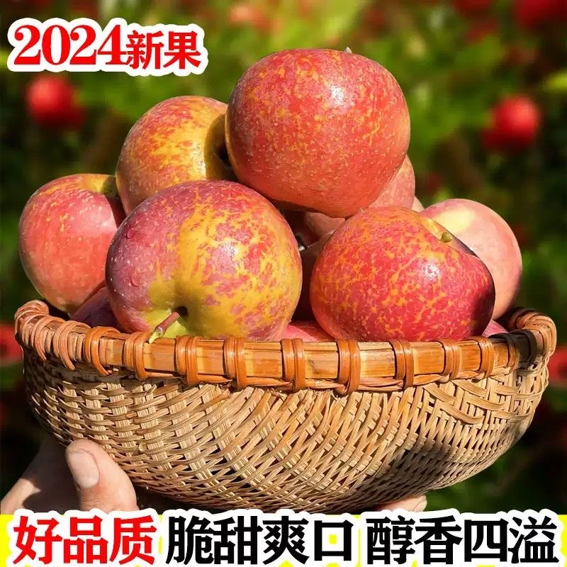 曾阿哥正宗云南昭通高原冰糖心丑苹果脆甜红富士农家果园现摘现发