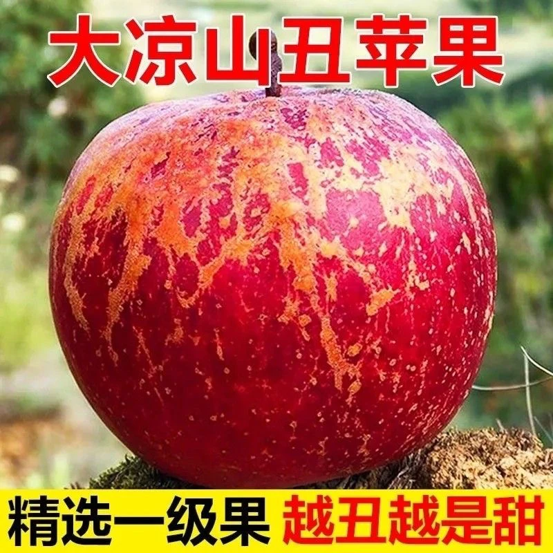 【比大网红卖得便宜】 四川大凉山冰糖心丑苹果高新鲜水果5/9斤