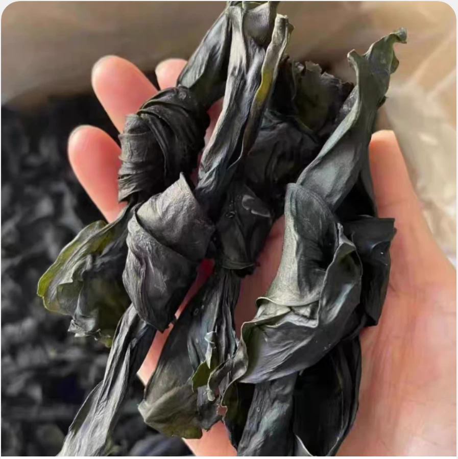 优质干海带结厚片火锅凉拌食材无沙海带头