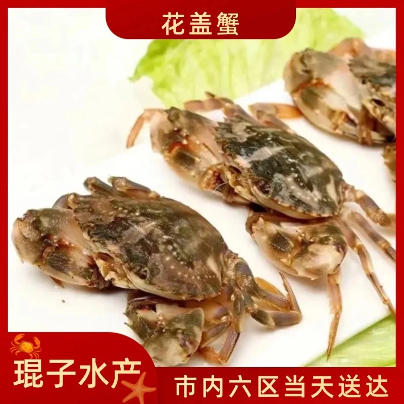 【保鲜不包活】花盖蟹 3-5斤 每只二两左右 同城当日达 断氧残蟹