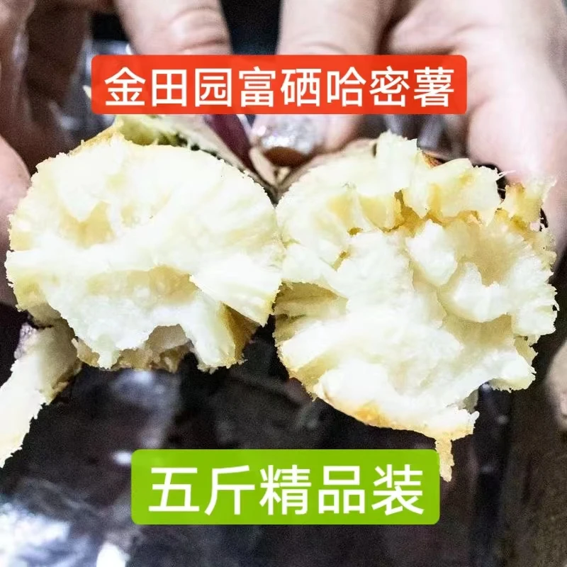 金田园富硒哈密薯冰糖心