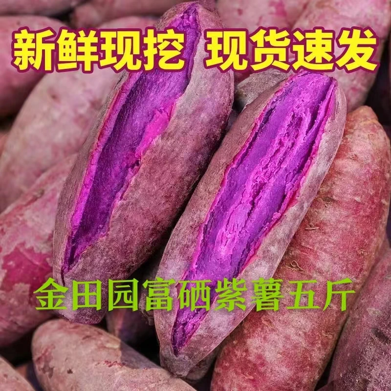 金田园富硒紫薯粉糯香甜