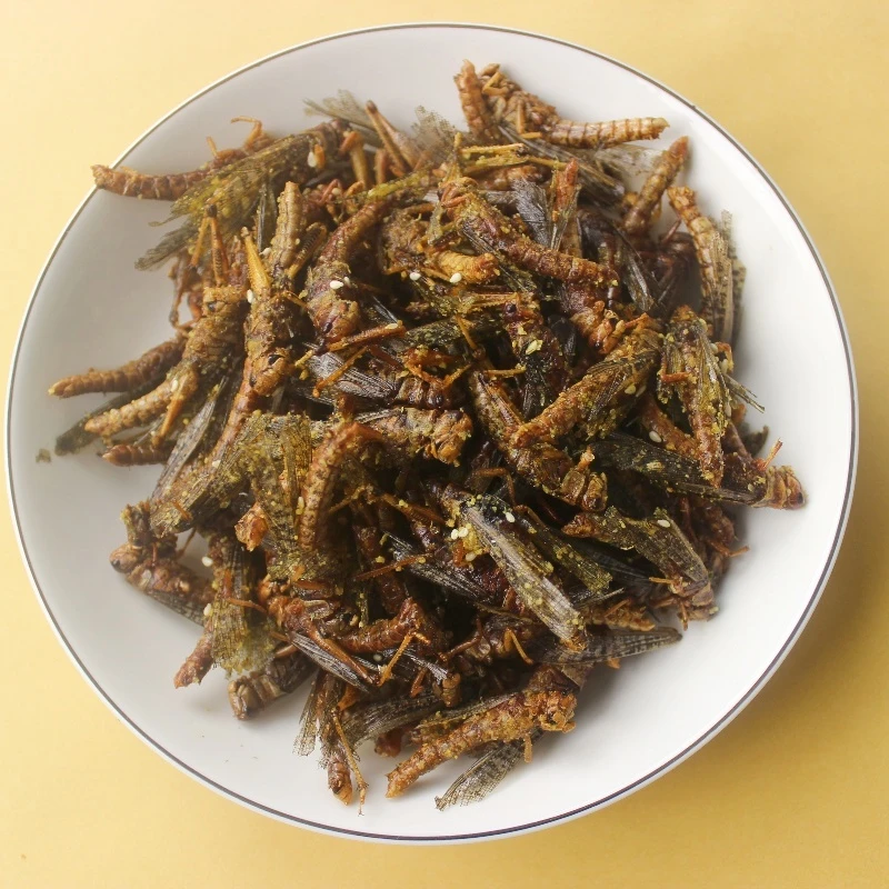 油炸香酥蚂蚱小锅好油现炸现发包邮蚱蜢蝗虫卷饼佐餐聚会礼盒特产