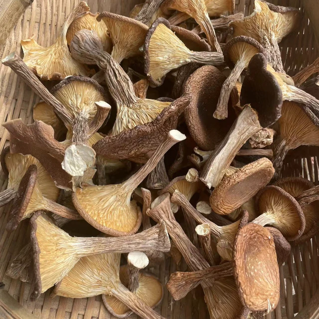 【山货】现收农家特产食用农产品———217———