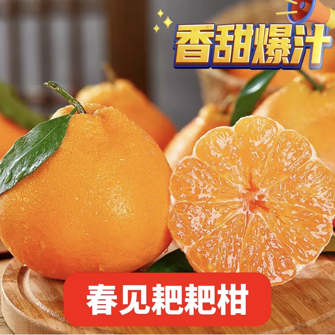 【精品】四川春见耙耙柑新鲜采摘自家果园产地直销桔子丑柑桔A