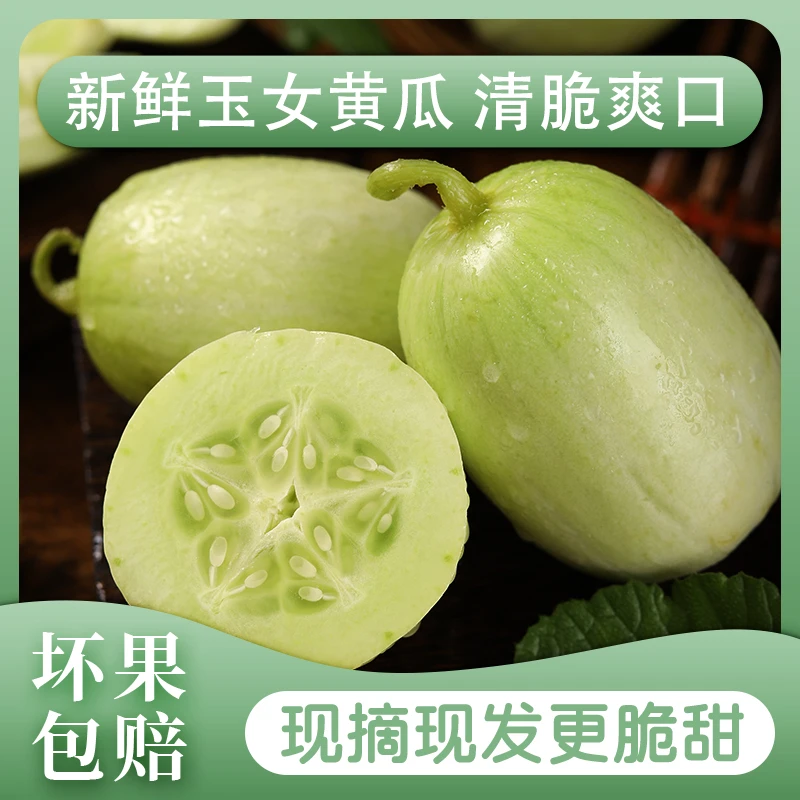 山东金童玉女小黄瓜黄瓜5斤白玉青瓜迷你水果坏果包赔夏日尝鲜
