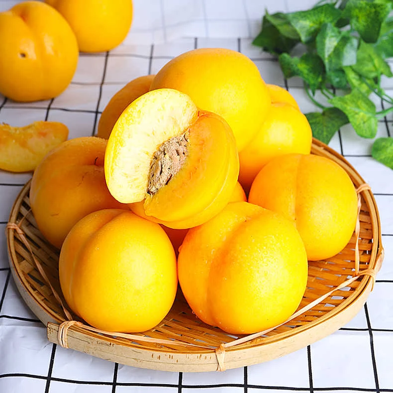 山东蒙阴黄金油桃水蜜桃孕妇宝宝辅食新鲜采摘应季水果甜坏果包赔