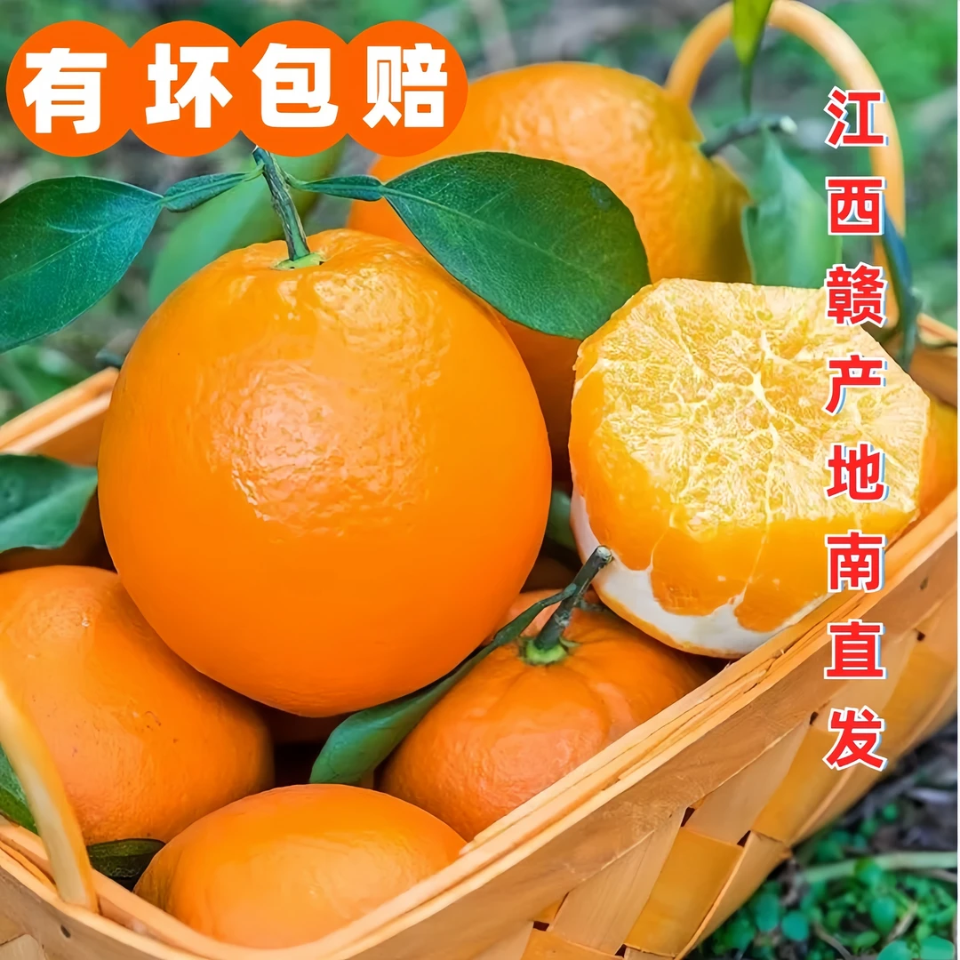 江西赣南脐橙树上熟阳光橙子原产地现摘现发新鲜爆汁正宗赣南脐橙