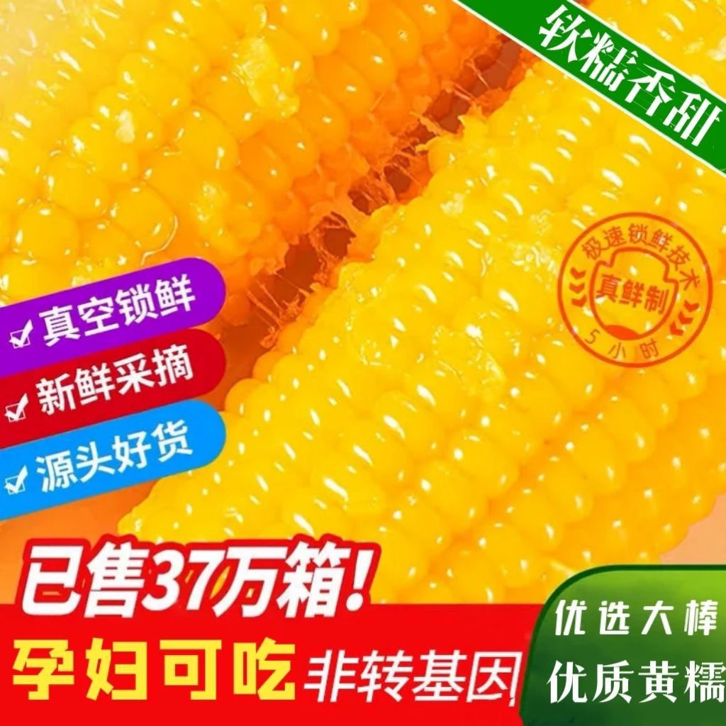 东北糯玉米黄糯粘黏新鲜真空棒包邮非转代减餐玉米新鲜糯玉
