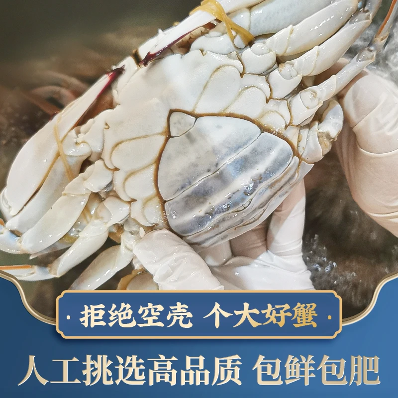 y舟山母梭子蟹3两左右/只12只3斤左右不可清蒸【冻蟹】