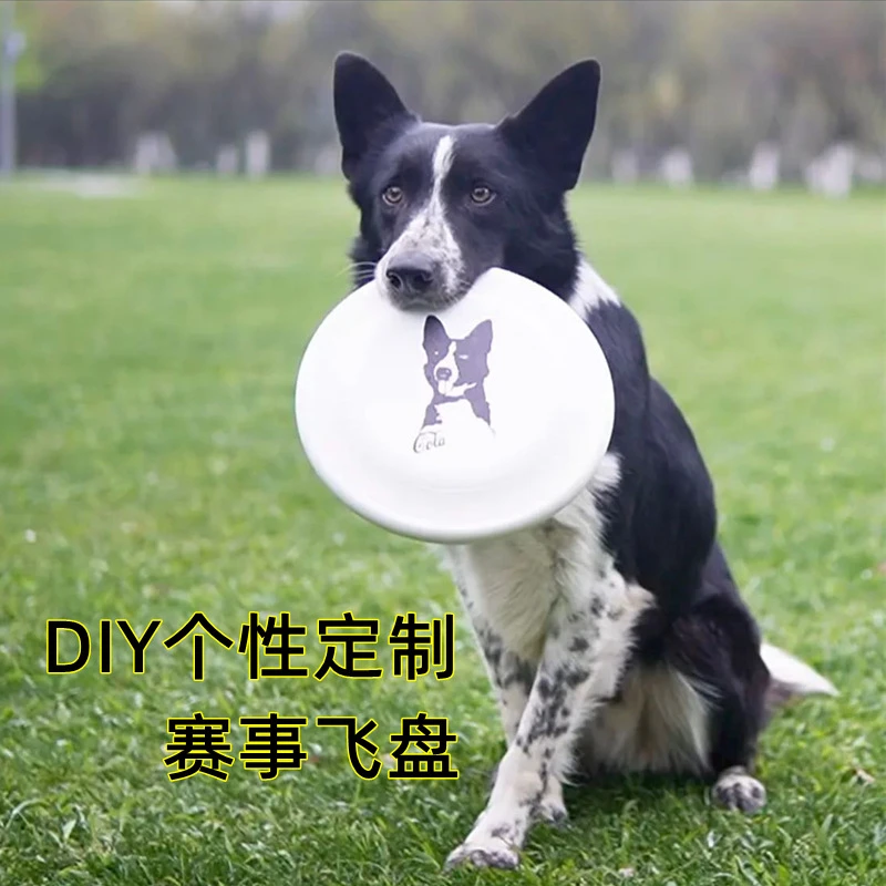 狗飞盘专用狗狗玩具耐咬户外训狗软飞碟磨牙狗狗训练玩具拉布拉多