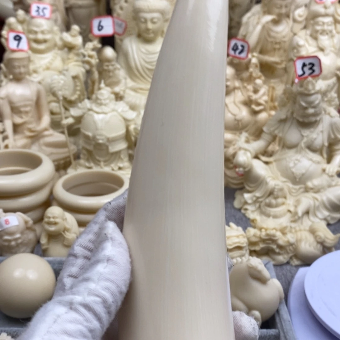 【闪购商品】红贵宝猛犸尖尖