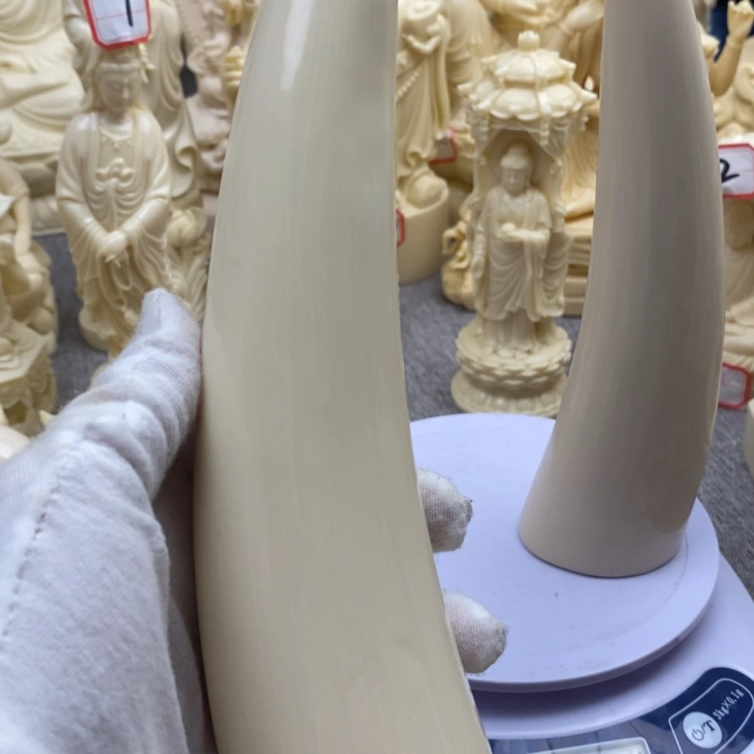 【闪购商品】红贵宝猛犸尖尖