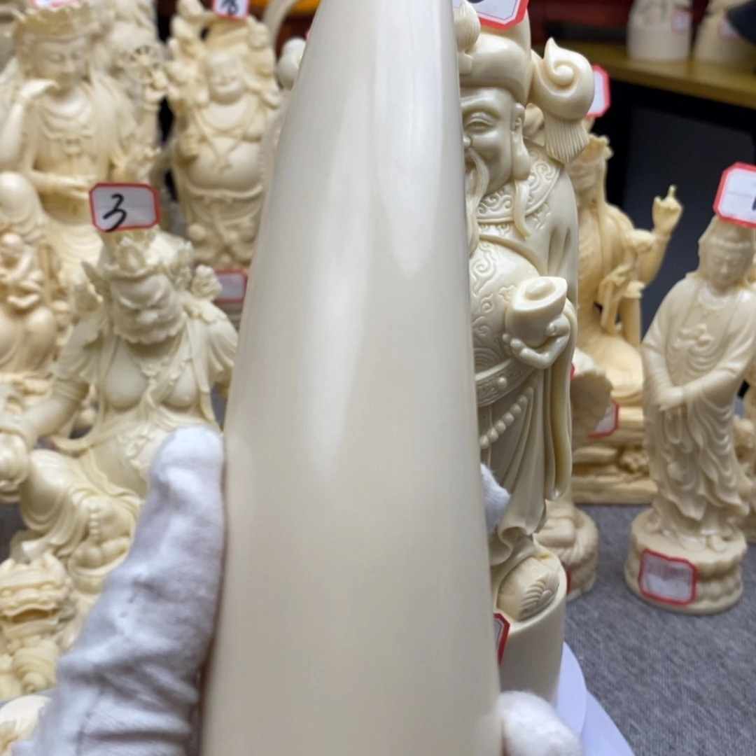 【闪购商品】红贵宝小****）猛犸尖尖