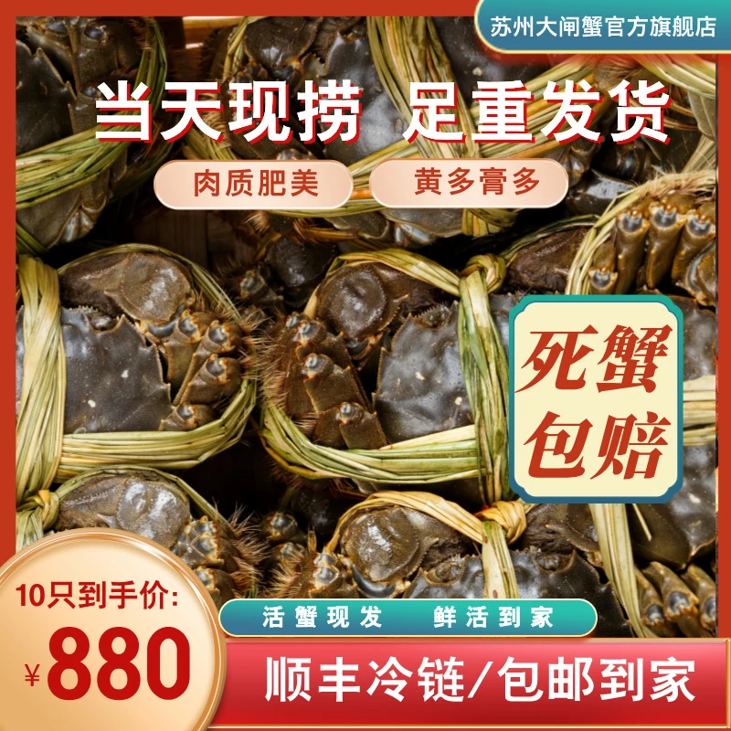 正宗|大闸蟹(公母共10只)1698型