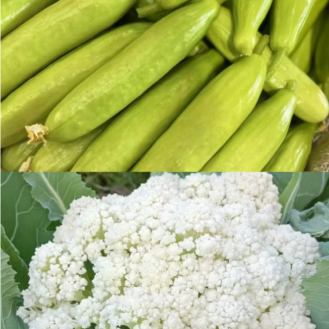 【组合共3斤】3斤精品装 水果黄瓜+密云农家 现砍现发 新鲜菜花