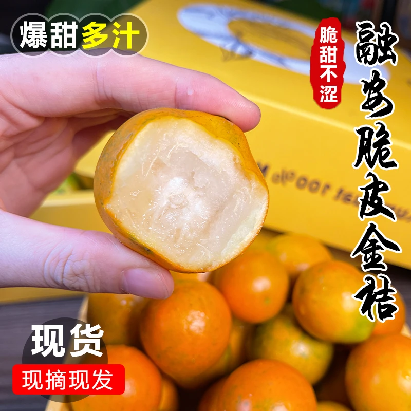 广西融安脆皮金桔桔子应季当季现摘新鲜水果金柑孕妇整箱包邮批发