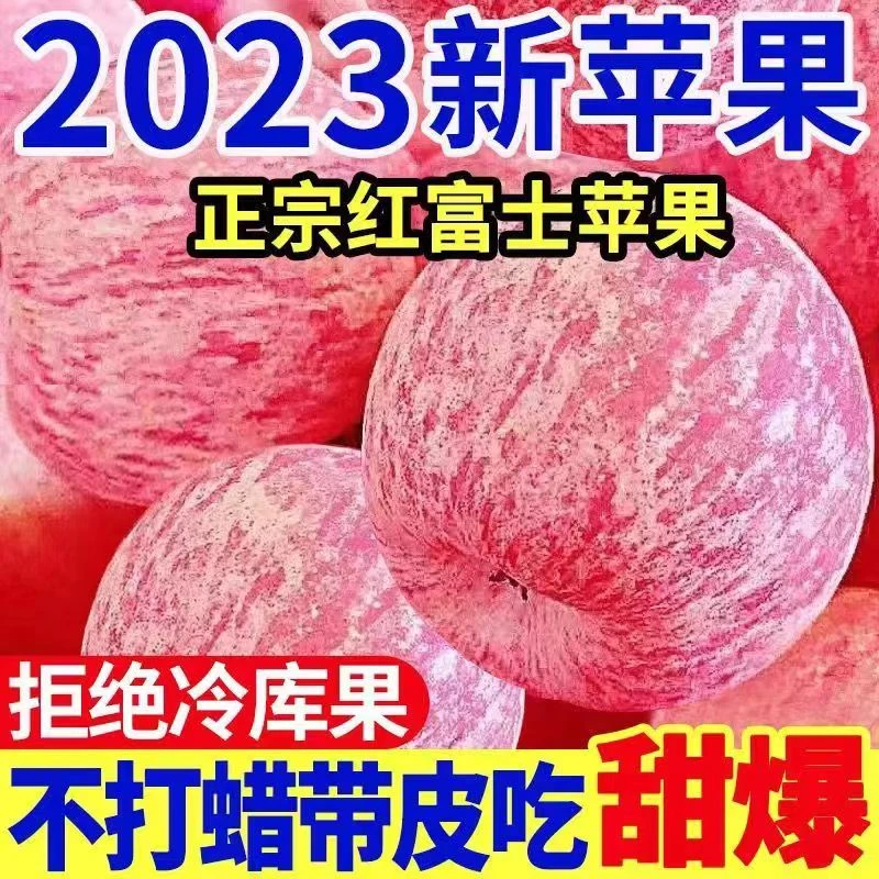 【一人领一箱】正宗原产地陕西 红富士苹果 应季水果新鲜10斤5斤2斤