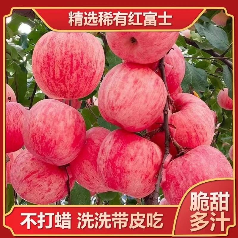 陕西原产自然红富士苹果脆甜多汁现摘现发净重2-5-10斤苹果酸甜