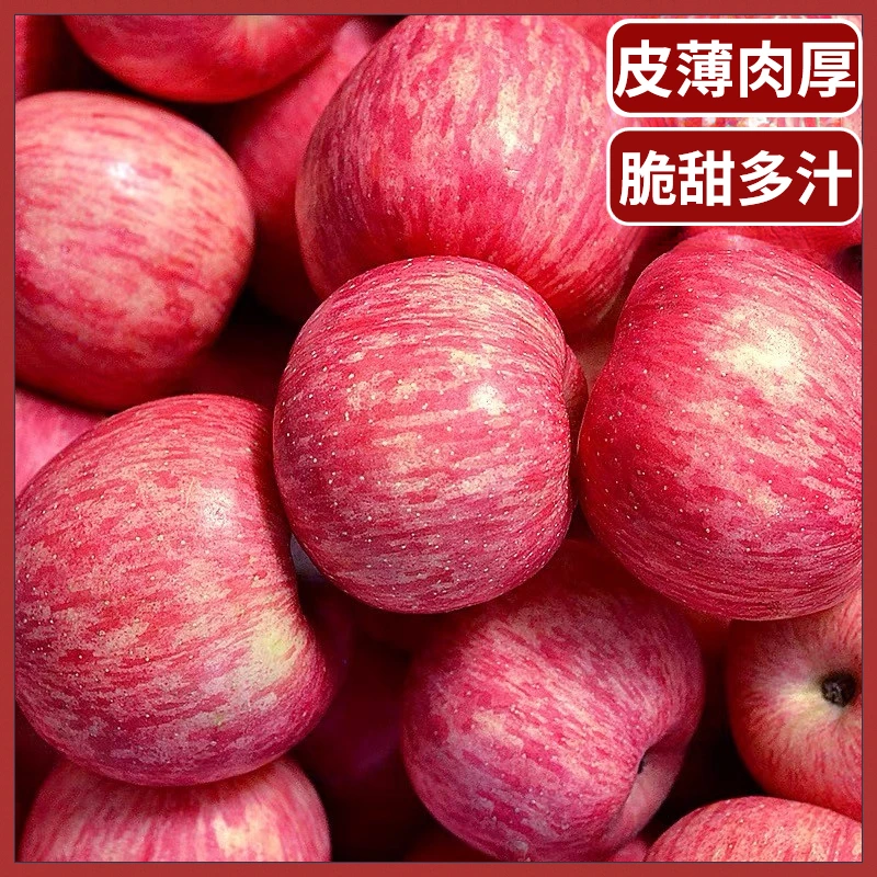 爽口多汁 陕西洛川 苹果水果红富士苹果产地直发新鲜脆甜2/5/10斤