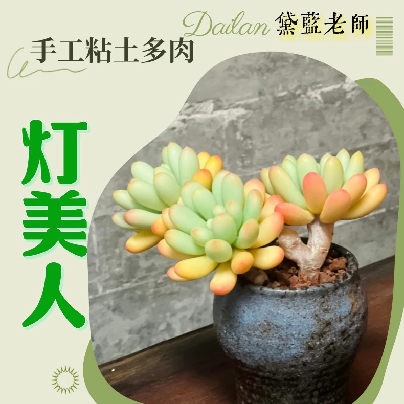树脂粘土手工多肉美人灯
