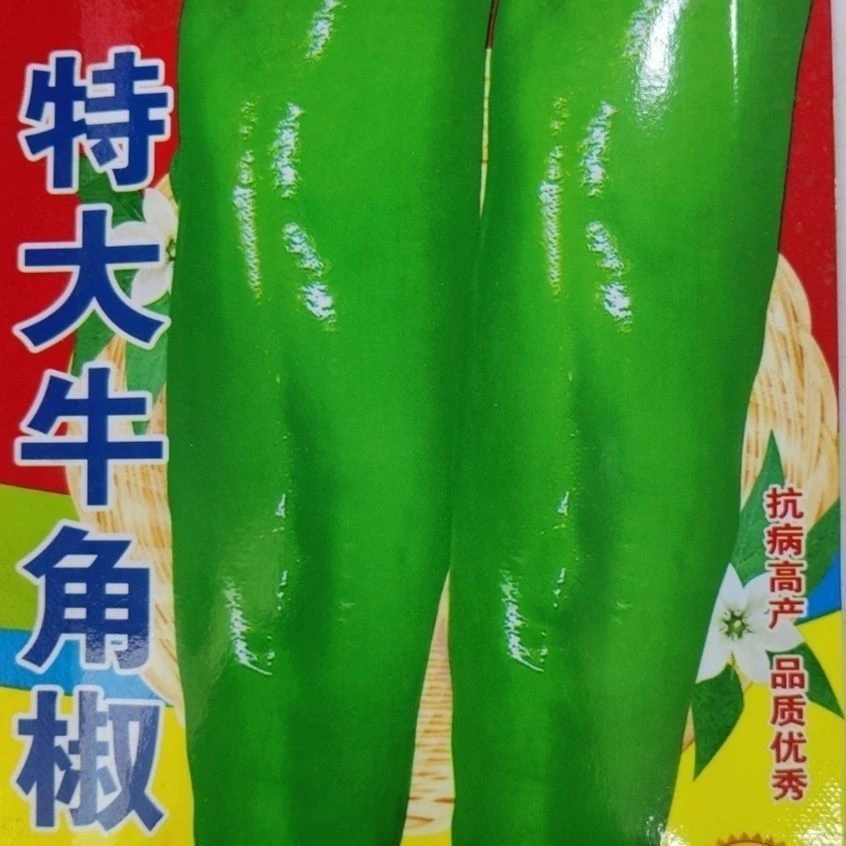 特大牛角椒种子大果青辣椒种籽肉厚皮青椒微辣高产蔬菜种子四季播