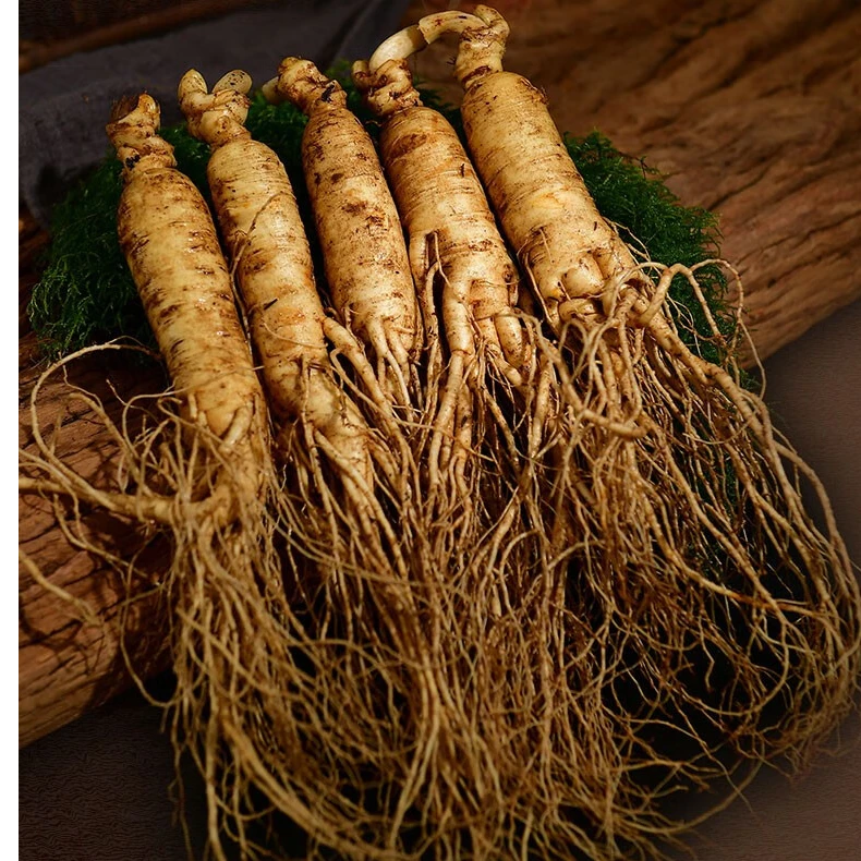 长白山新鲜大人参 （7-12支一斤装） 泡酒 送人 送礼