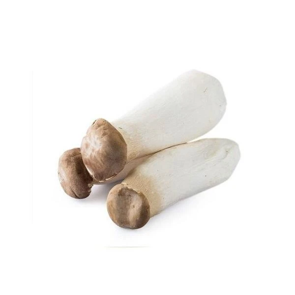 产地直发新鲜杏鲍菇500g±20g