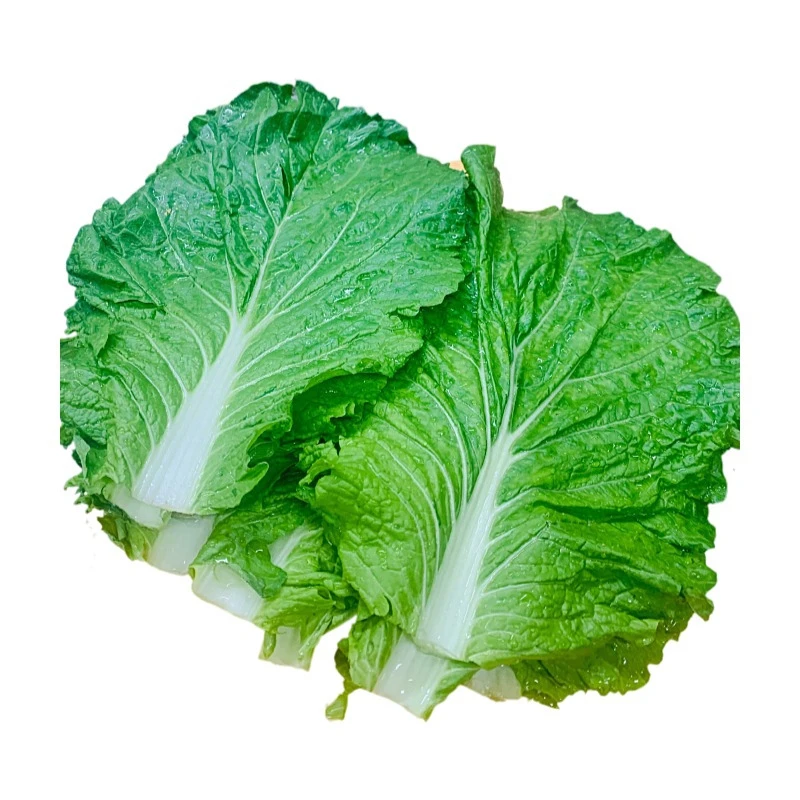 饭包白菜 约200g