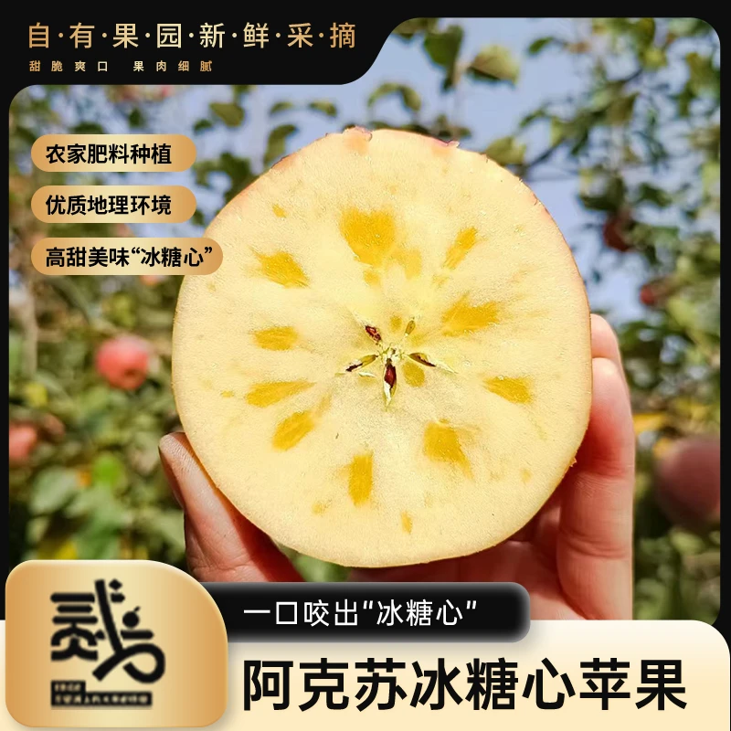 贰戈【优惠尝鲜款】1500g 5-6枚 新疆阿克苏农家冰糖心苹果脆甜多汁