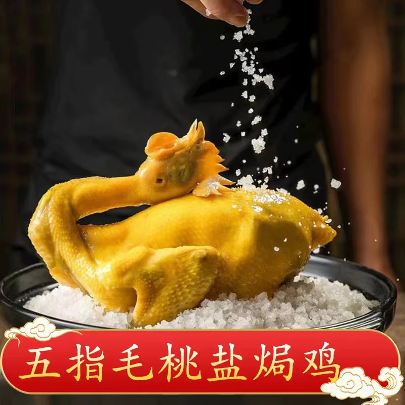 【阿表专属】两只装广东五指毛桃盐焗鸡1000g/只-农家散养-精选品质