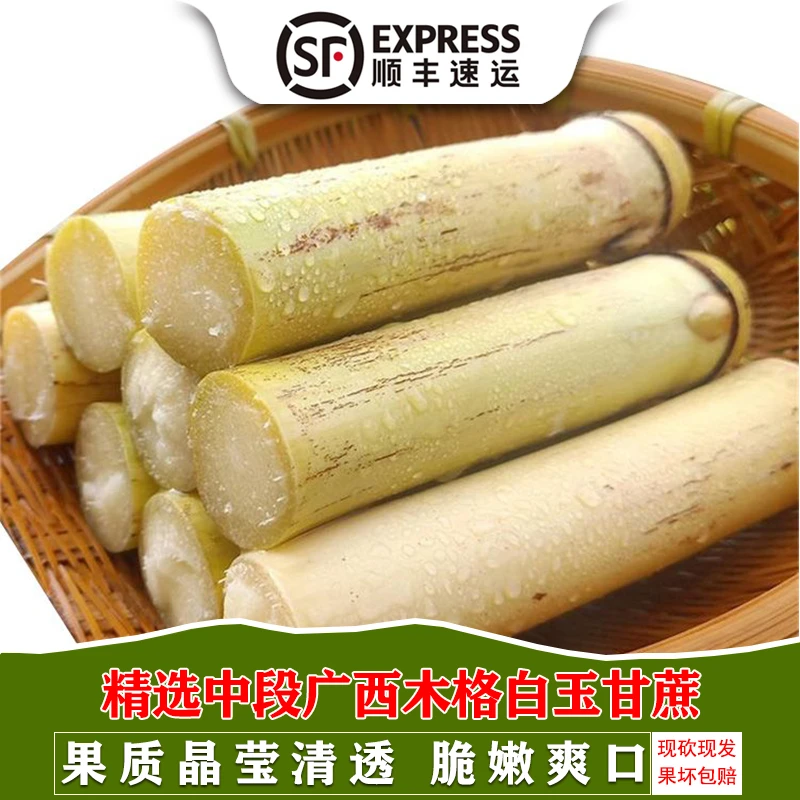 正宗广西木格白玉甘蔗脆甜多汁农家当季水果蔗产地直发顺丰包邮