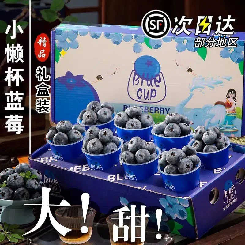 【国产蓝莓小懒杯】新鲜蓝莓礼盒装脆甜花青素60g/杯✖️8礼盒装水果