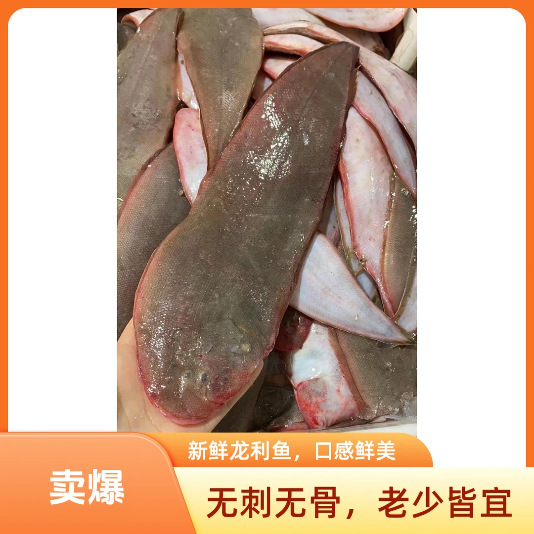 龙利鱼粗鳞板鱼剥皮鱼
