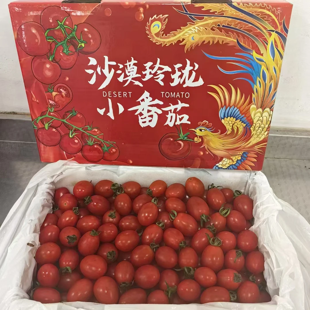 【沙漠玲珑小番茄】 整箱带箱2.4斤左右 仅限太原六城区榆次可拍