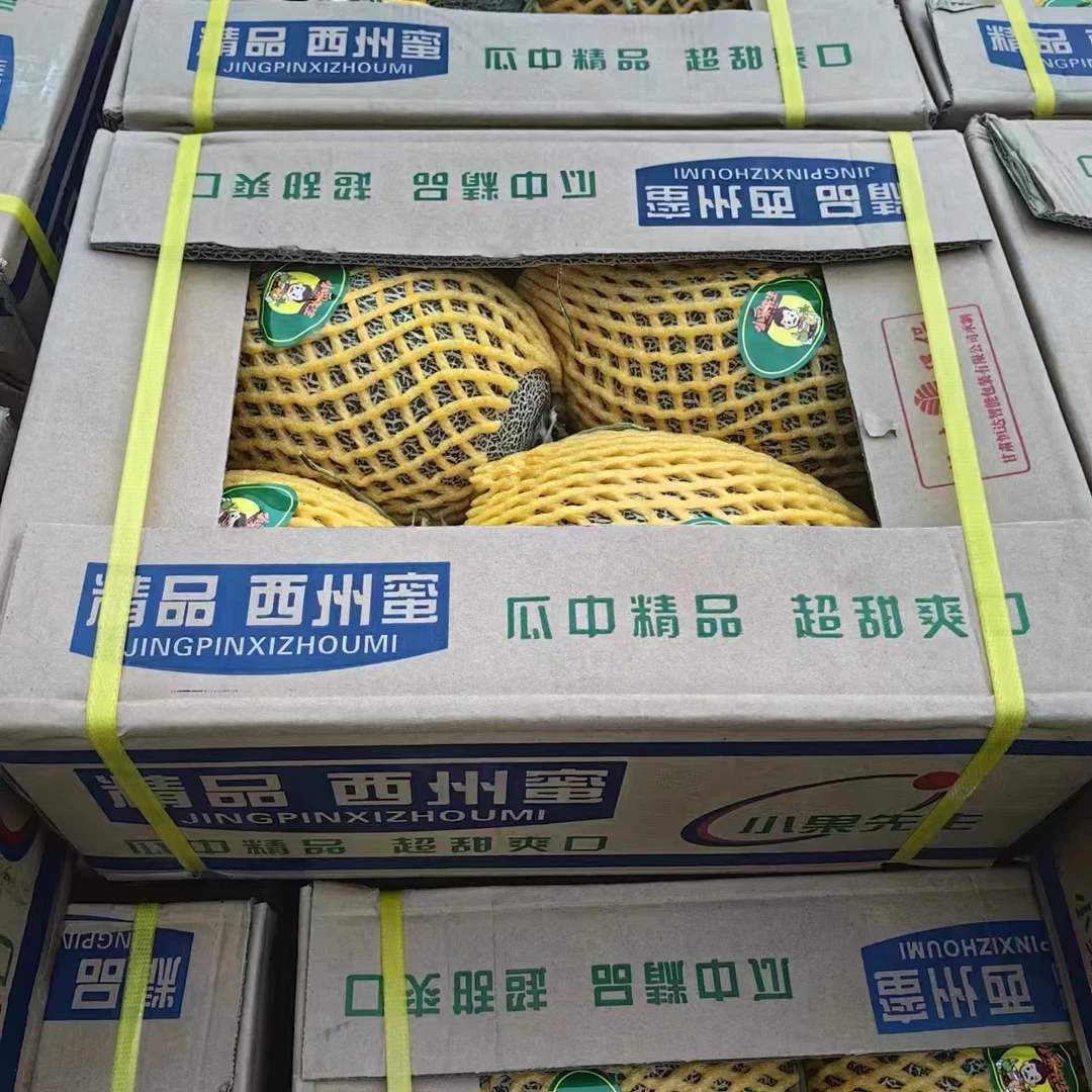 【西州蜜哈密瓜】 整箱带箱15.5斤 仅限太原六城区榆次购买