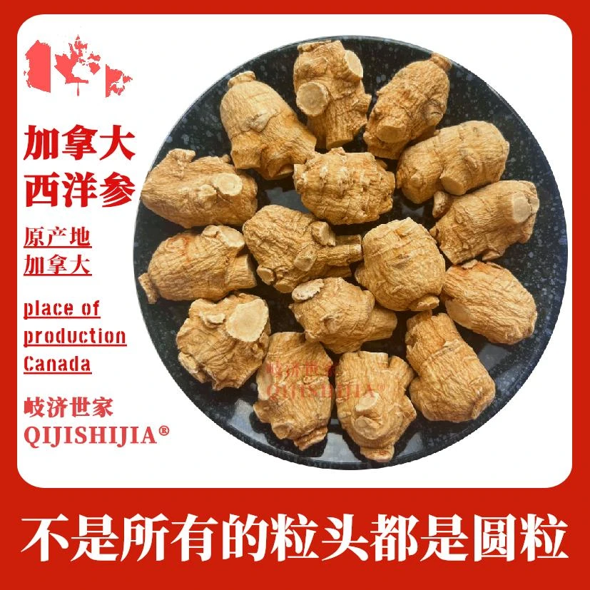【加拿大西洋参】特圆粒头 味道浓郁微苦回甘高品质款打粉泡酒精选