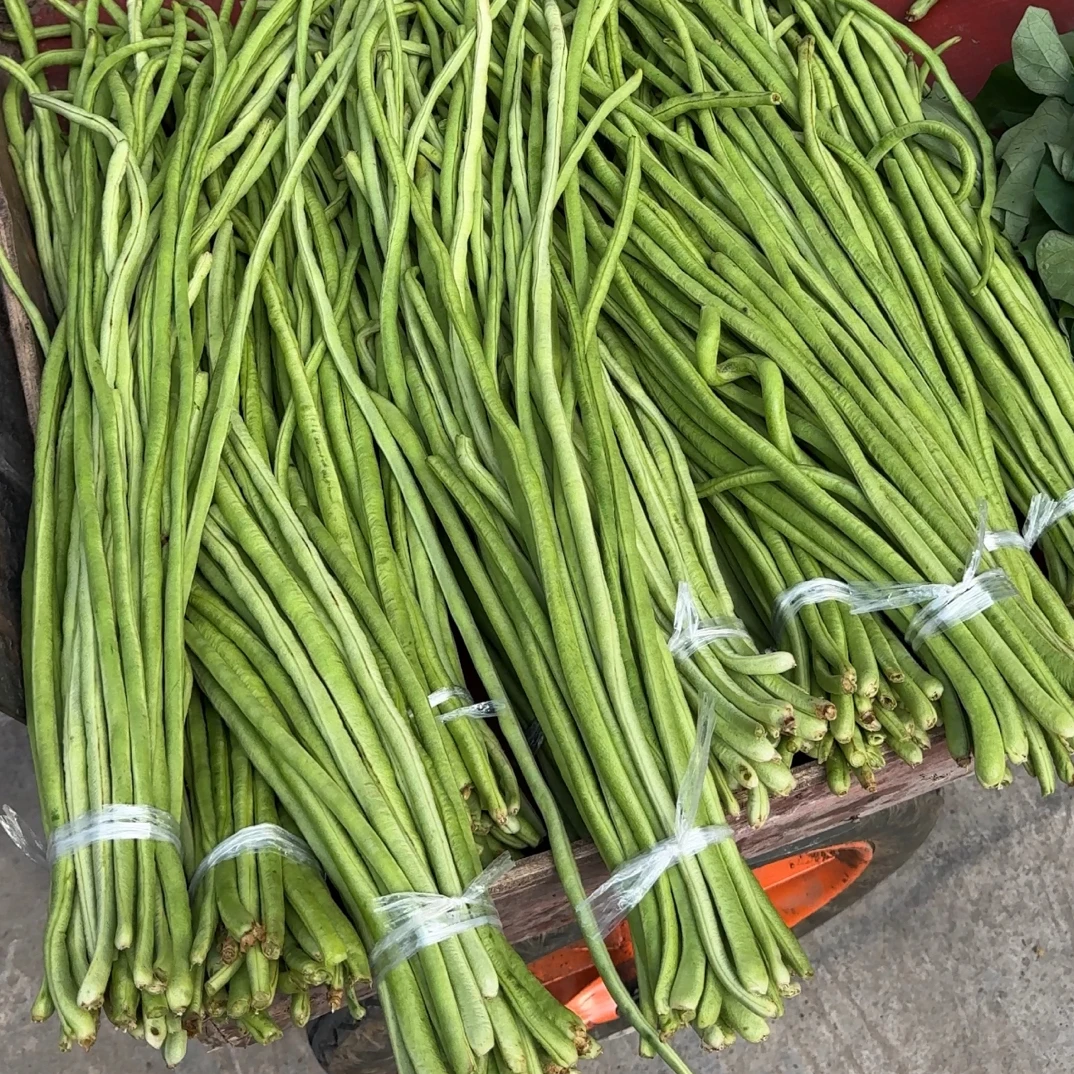 乡村蔬菜类【赶场四哥】