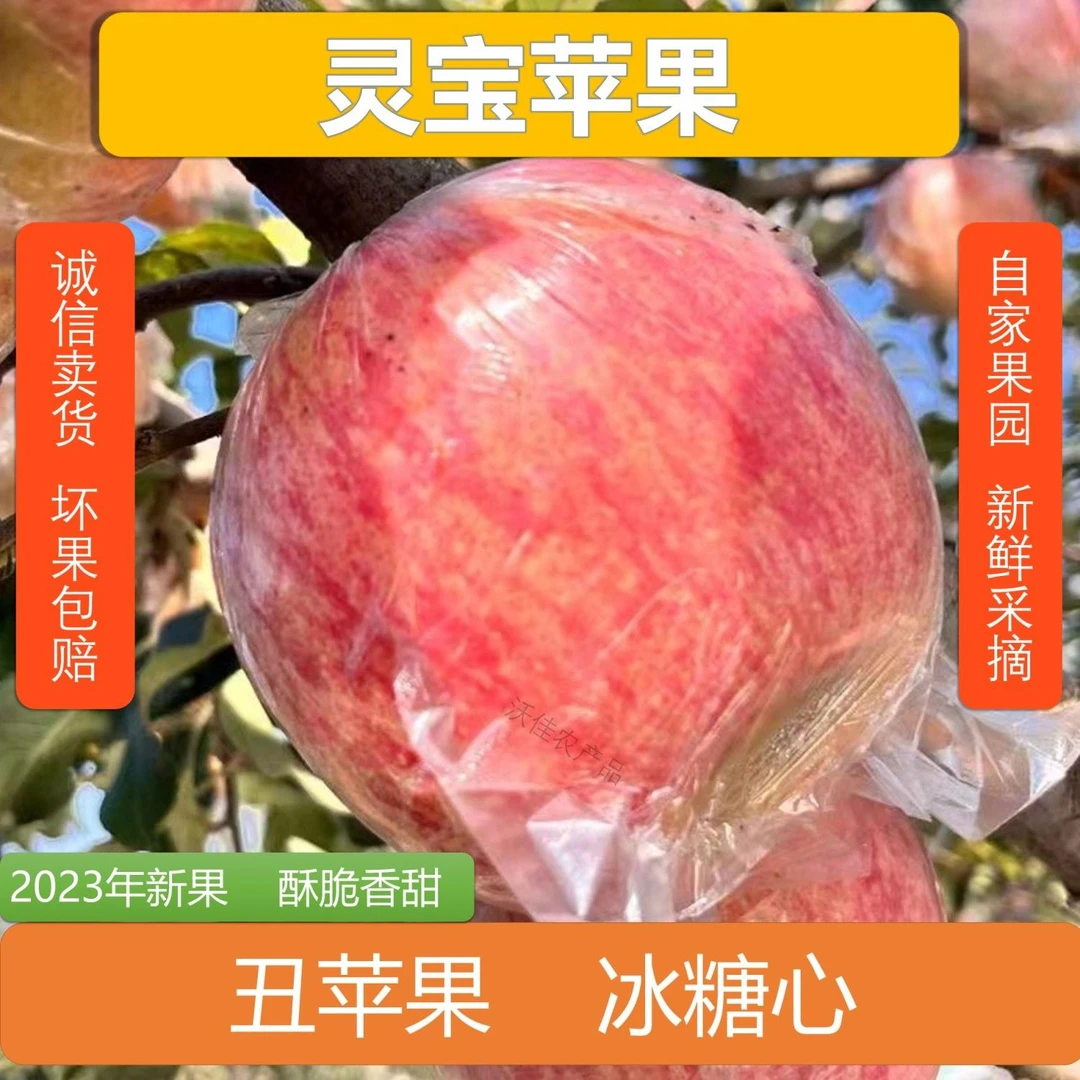 河南灵宝苹果丑苹果冰糖心酥脆香甜自家果园当季新鲜2斤5斤10斤