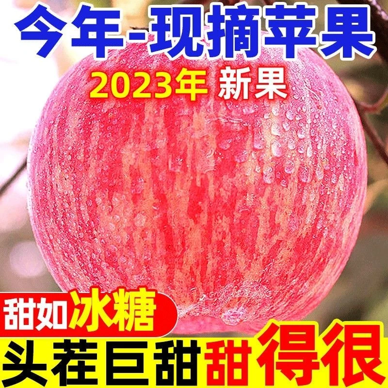 带头降价】山东烟台栖霞红富士苹果新鲜水果当季整箱带2斤5斤10斤