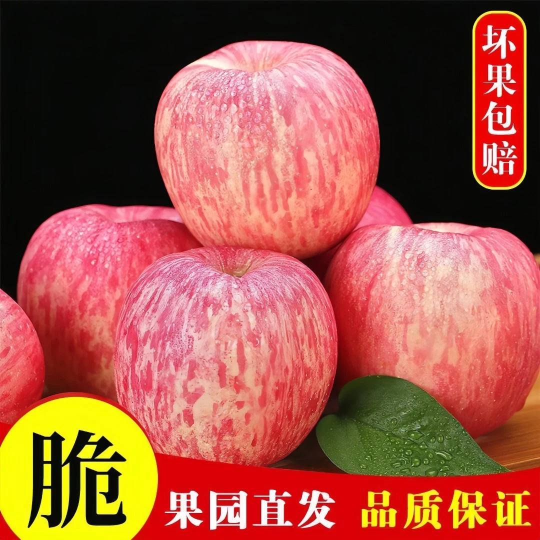 正宗山东烟台营养原产地甜脆自然多汁冰糖心新鲜现摘苹果2/5/10斤