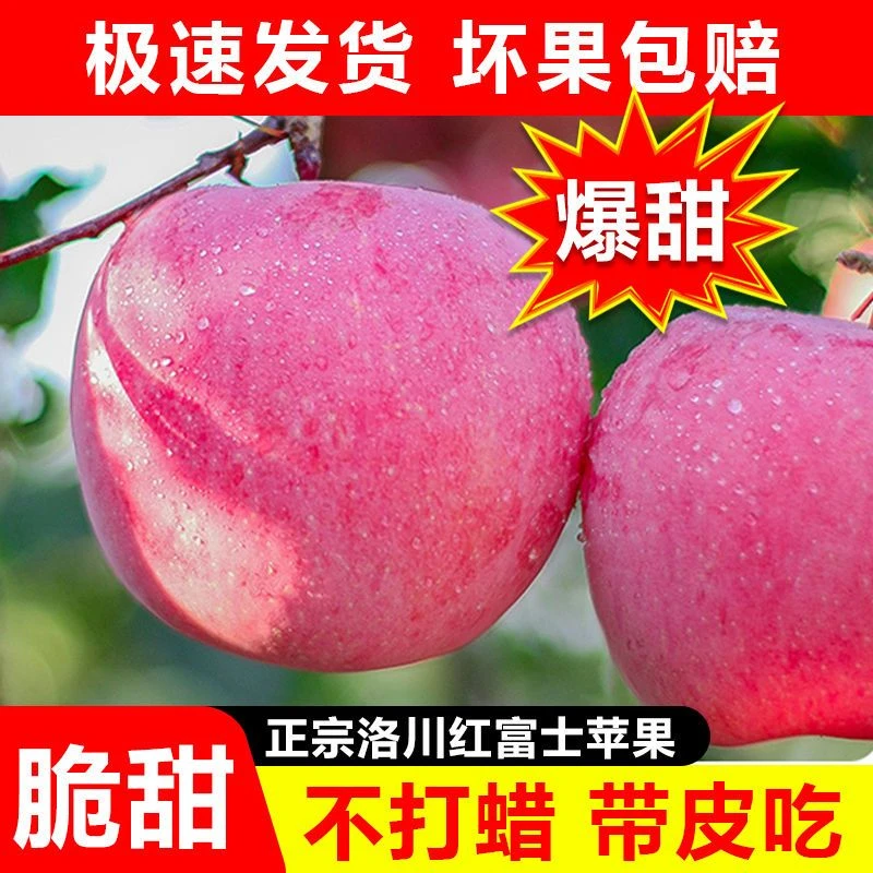 苹果陕西正宗洛川红富士新鲜应季脆甜水果2斤5斤10斤